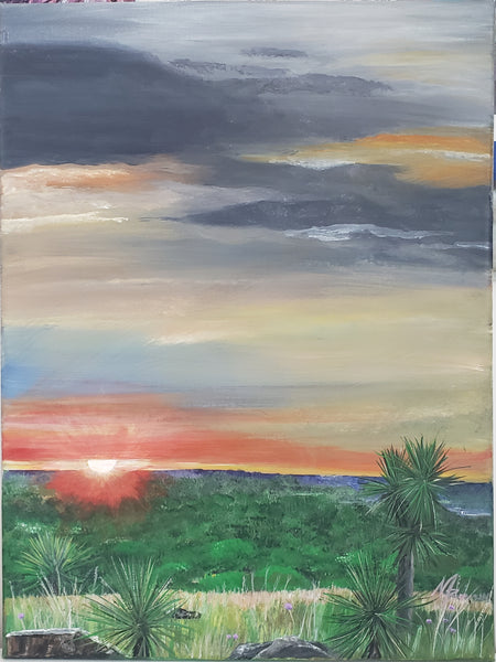 Note Cards: Shades of Texas