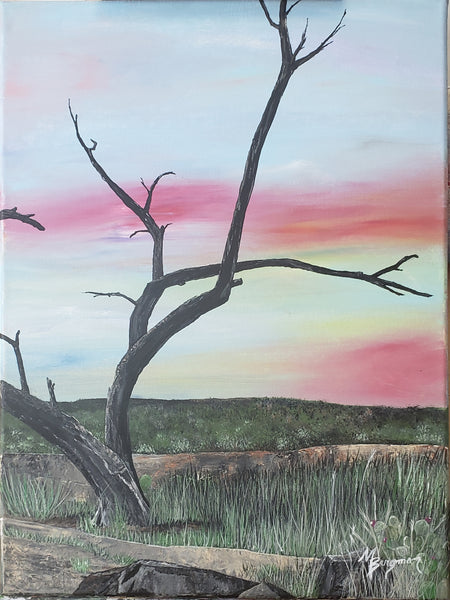 Note Cards: Shades of Texas