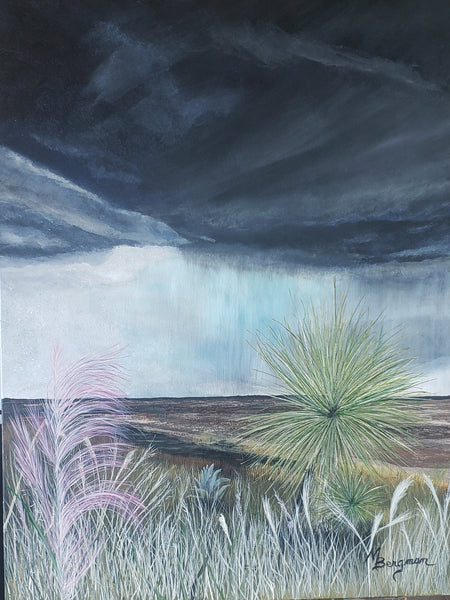 Note Cards: Shades of Texas